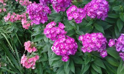20150727_141717.jpg
