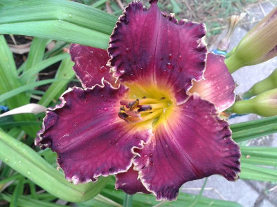 20150719_094550.jpg