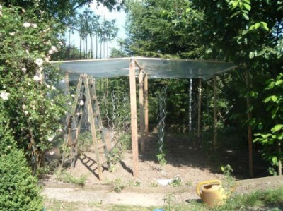 Tomatenhaus.jpg