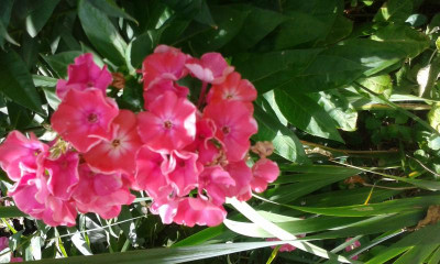 20150728_145119.jpg