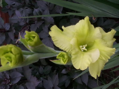 20150728_193147.jpg