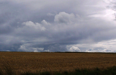 storm.jpg