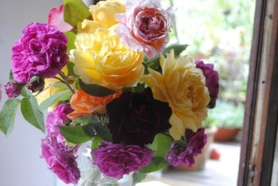 Bild2014 093.jpg