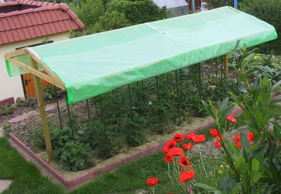 tomatenhaus.JPG