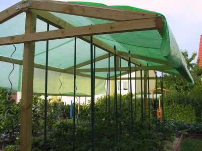 tomatenhaus2.JPG