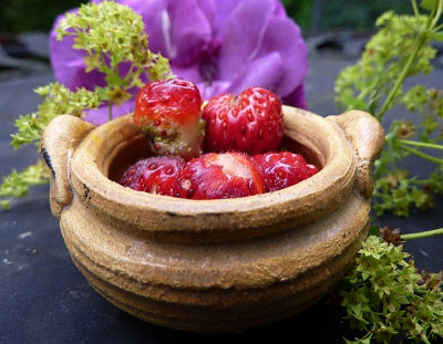 schüssel erdbeeren.jpg