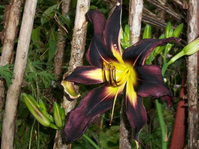 MD002874verkleinert.JPG