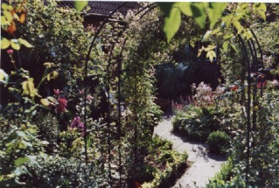 Blick_vom_ehemaligen_Vogelknast_zur_Terrasse__2.jpg