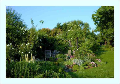 Gartenasichten_1_17-06-2006.jpg