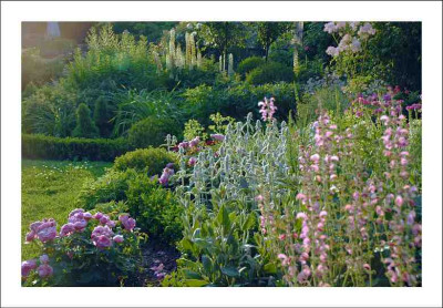 Gartenansichten_2_17-06-2006.jpg