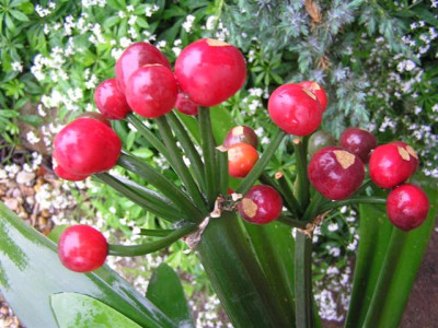 16-6-06_035_Small.jpg