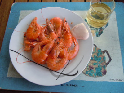 shrimps 001.JPG