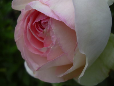 aktuelles_Bild_008.jpg