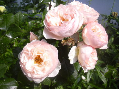 aktuelles_Bild_017.jpg