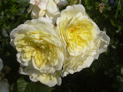 aktuelles_Bild_018.jpg