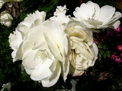 aktuelles_Bild_021.jpg