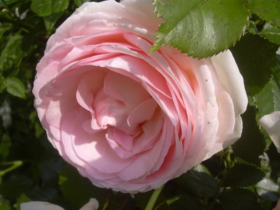 aktuelles_Bild_020.jpg