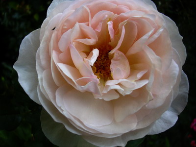 aktuelles_Bild_028.jpg