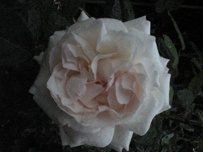 100-0016_IMG_2_400x300.JPG