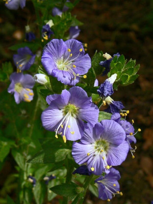 P1010226_Large.JPG
