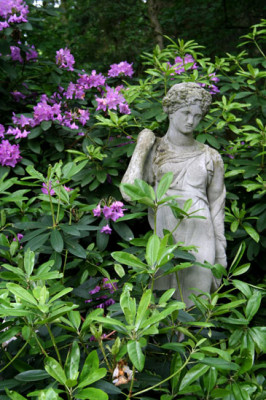 Dina-Deferme-4.jpg