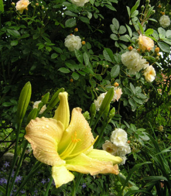 Donnerluettchen_mit_Ghislaine_k.jpg
