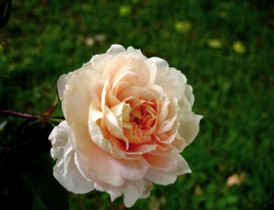 new_John_Keats_2.jpg