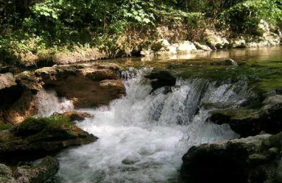 DSCN4630__whirlpool___b.jpg