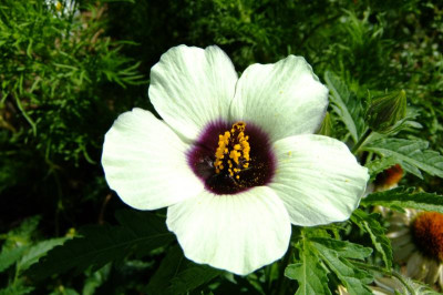 DSCF3101.JPG