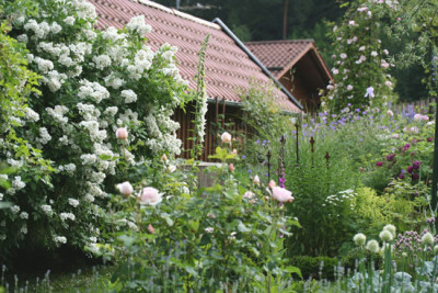 Garten-1.jpg