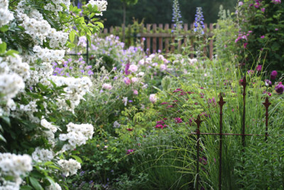 Garten-2.jpg