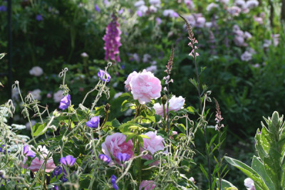 Garten-3.jpg