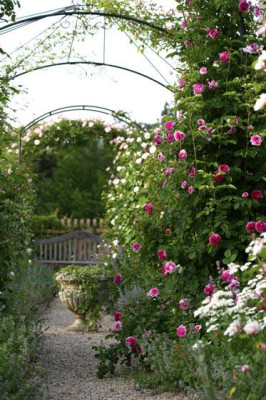 Garten-5.jpg