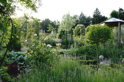 Garten-6.jpg