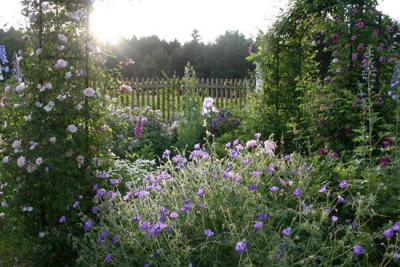 Garten-im-Abendlicht.jpg
