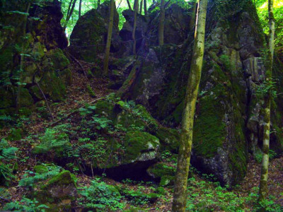 07_-_Moosfelsen_1.jpg