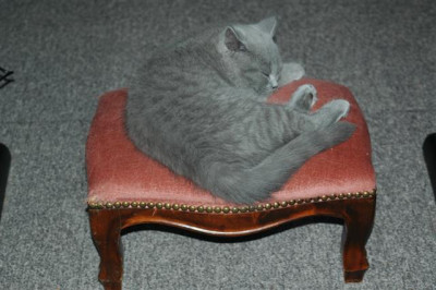 A0292_Small.JPG