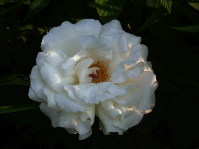 Memoire1_640x480.jpg