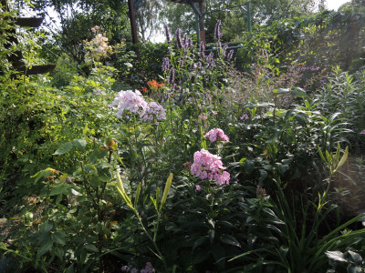 DSCN7760_850.JPG