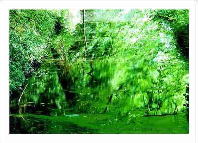 Schlossgarten_Gelderland_1_02-06-2006.jpg