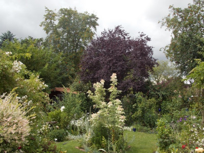 DSCN7191v.JPG