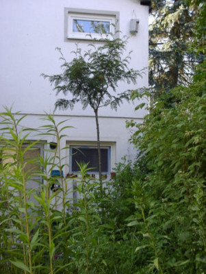 P6210062_k.JPG