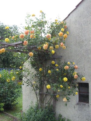 100-0006_IMG_2_300x400.JPG