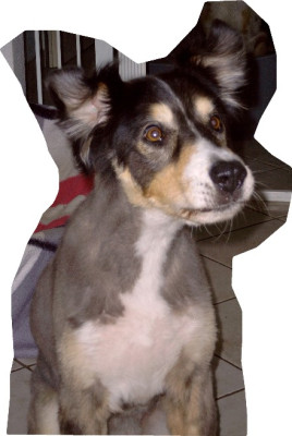 Gremlin-21.jpg