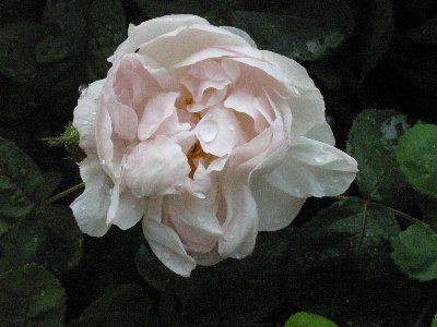 100-0024_IMG_3_400x300.JPG