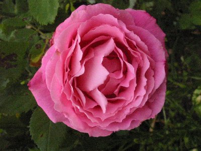 100-0019_IMG_3_400x300.JPG