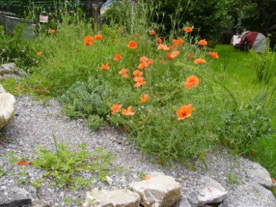 PICT0944.JPG