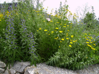 PICT0946.JPG
