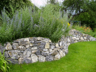 PICT0948.JPG