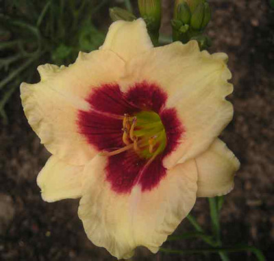 PICT0003.jpg